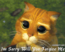 Will you Forgive Me?
