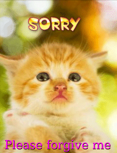 Sorry Please Forgive Me