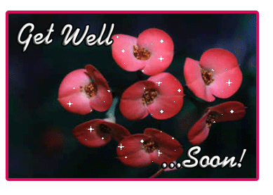 Get Well Flowers Reflection