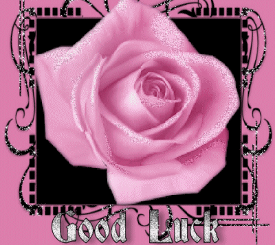 Good Luck With Pink Rose