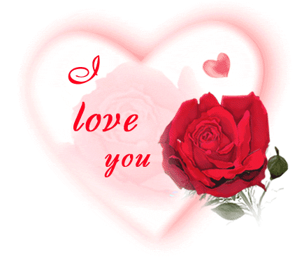 I Love You rose