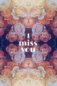 I Miss You roses