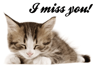 I Miss You! kitty
