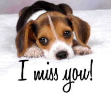 I Miss You! puppy