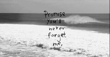 Promise you'll never forget me