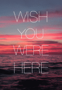 Wish you were here