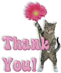 Thank You! cat glitter