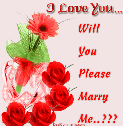 I Love You, Will You Please Marry Me? graphic