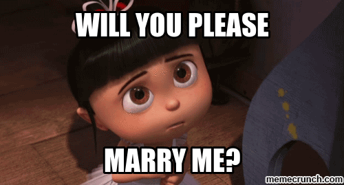 Will You Please Marry Me?