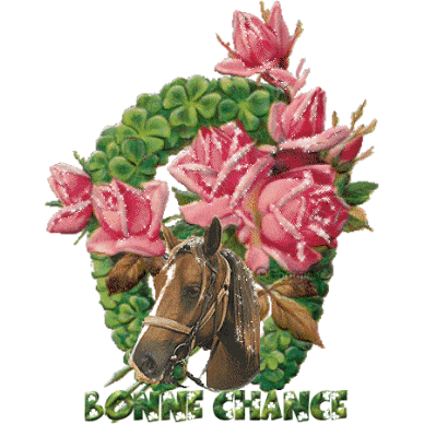 Bonne Chance cheval et couronne de fleurs