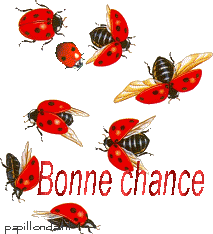 Bonne Chance coccinelles