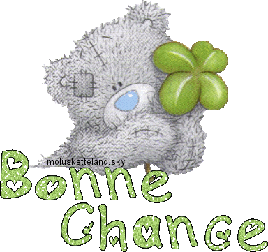 Bonne Chance nounours