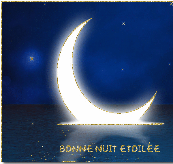 Bonne Nuit Etoilée