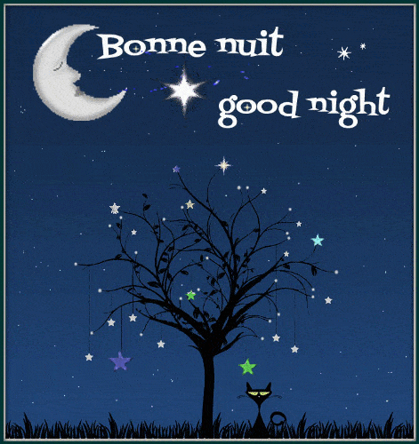 Bonne nuit Good night