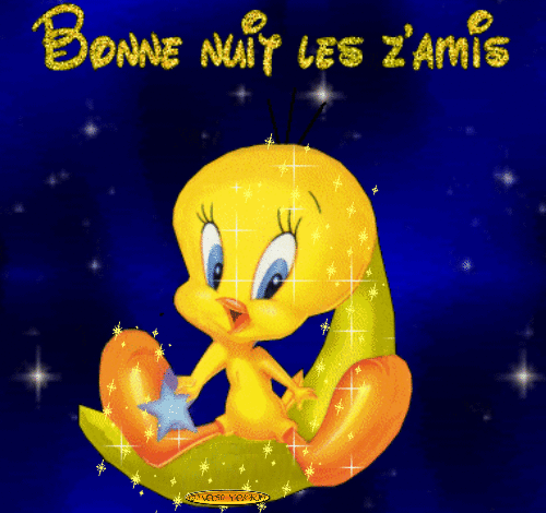 Bonne nuit les amis