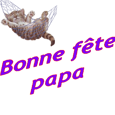 Bonne Fête Papa chaton dans son hamac