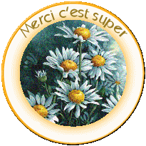 Merci c'est super