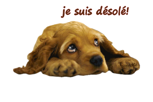 Je suis désolé chien triste