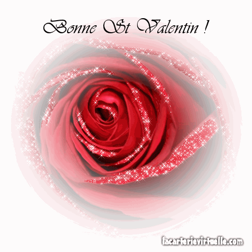 Bonne St-Valentin avec une rose