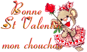 Bonne St-Valentin mon chouchou