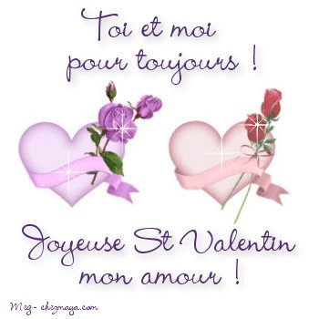 Joyeuse St-Valentin mon amour!